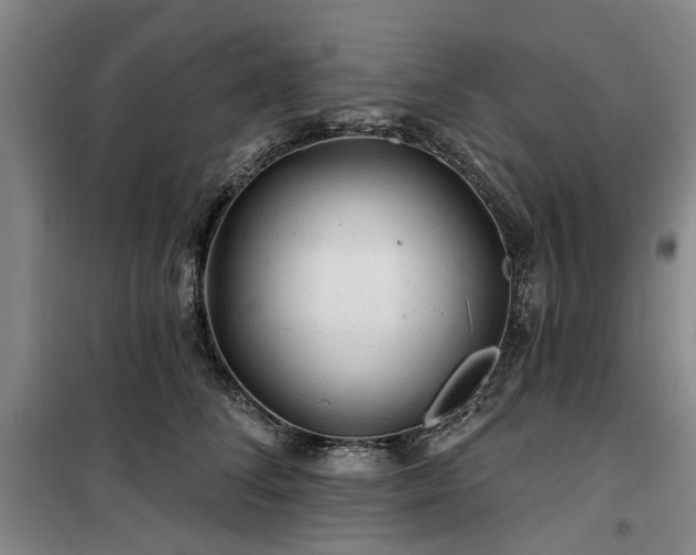 X0000100200708200805301310