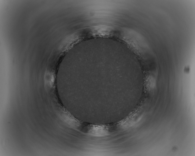 X0000100200709200805301310