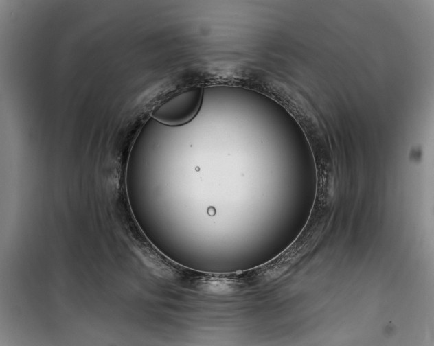 X0000100200710200805301310