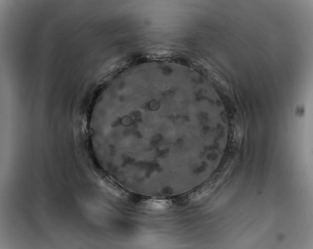 X0000100200711200805301310