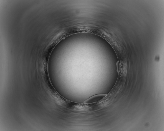 X0000100200712200805301310