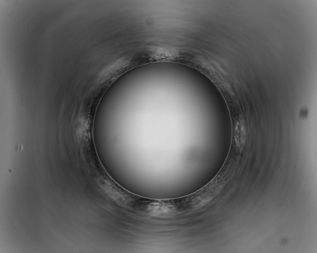 X0000100200714200805301310