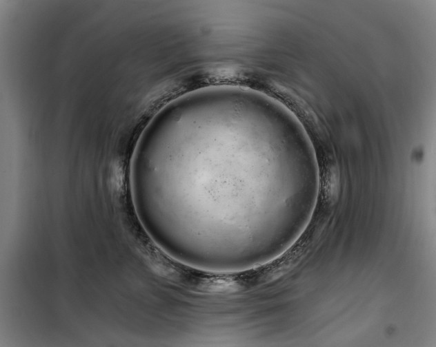 X0000100200715200805301310