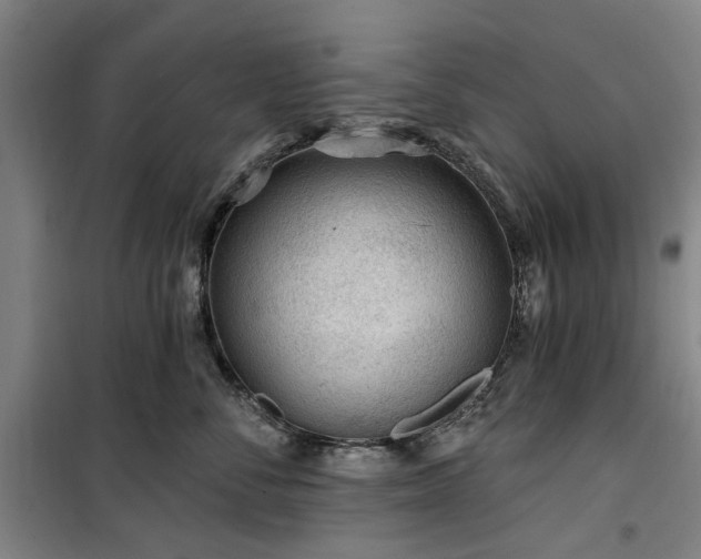 X0000100200716200805301310