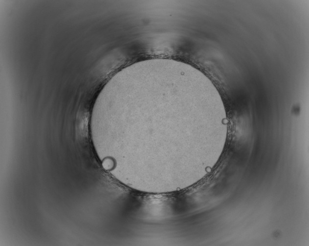 X0000100200717200805301310