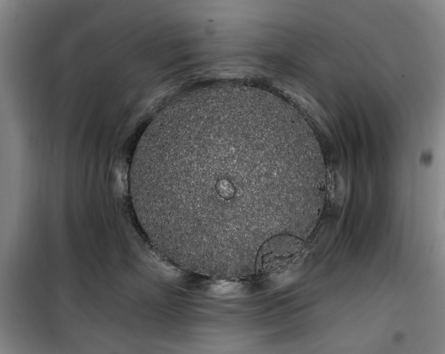 X0000100200718200805301310