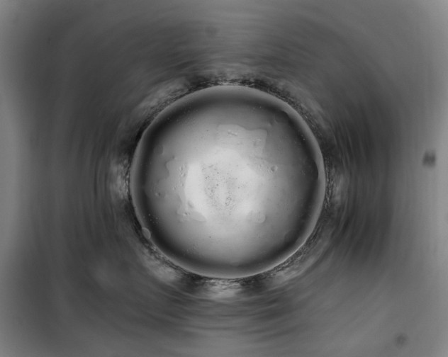 X0000100200719200805301310