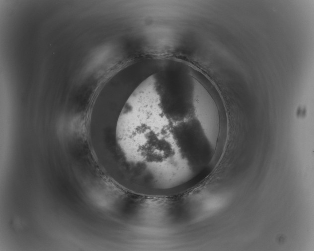 X0000100200720200805301310