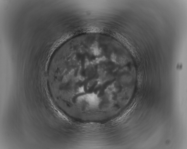 X0000100200721200805301309