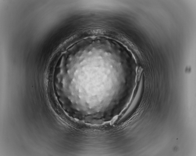 X0000100200722200805301309