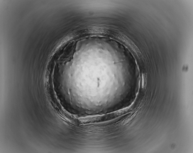 X0000100200723200805301309