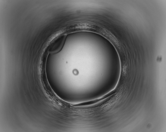 X0000100200724200805301309