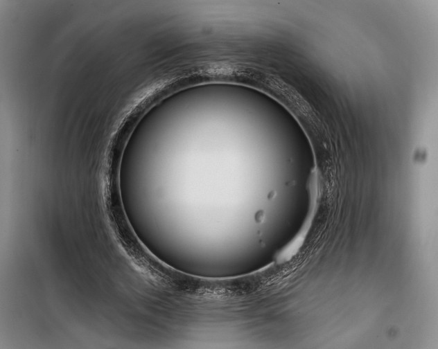 X0000100200728200805301309