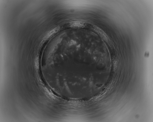 X0000100200729200805301309