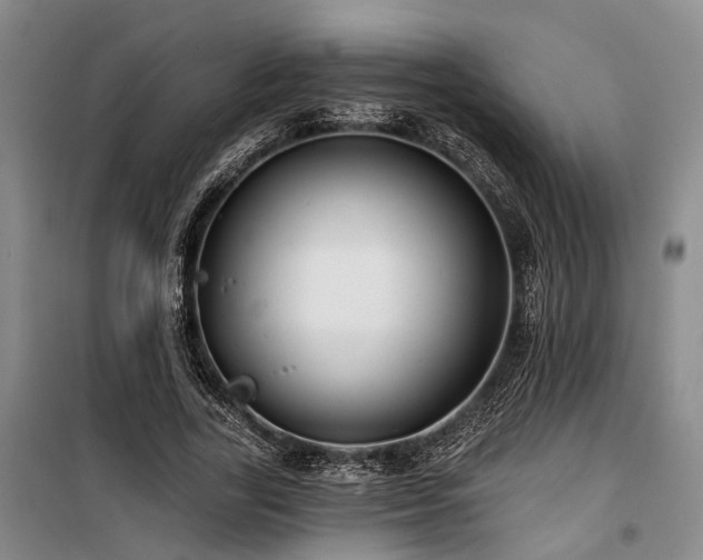 X0000100200731200805301309