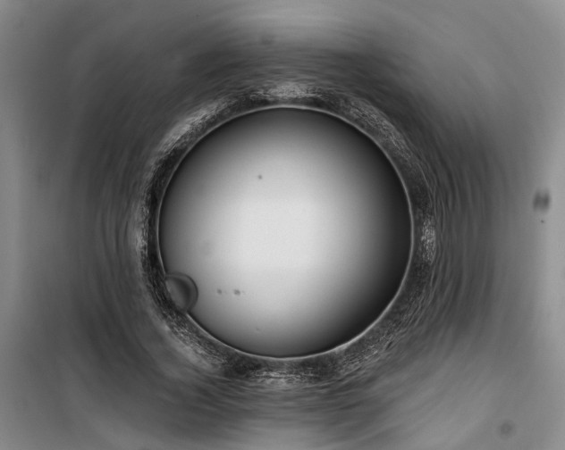 X0000100200732200805301309