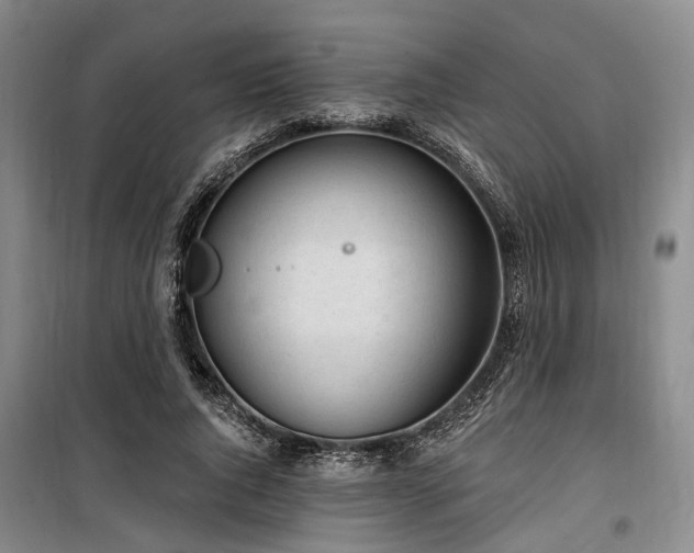 X0000100200736200805301309