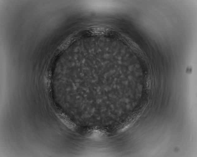 X0000100200737200805301309