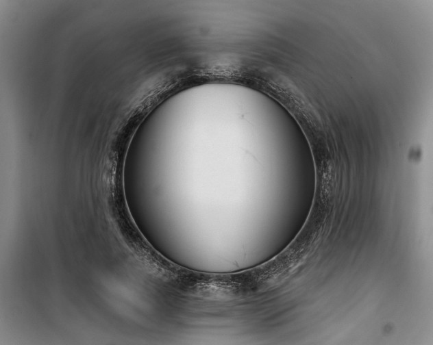 X0000100200739200805301309