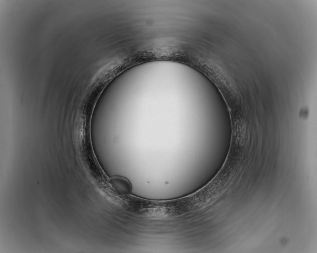 X0000100200740200805301309