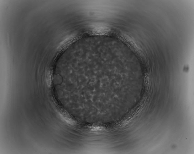 X0000100200741200805301309