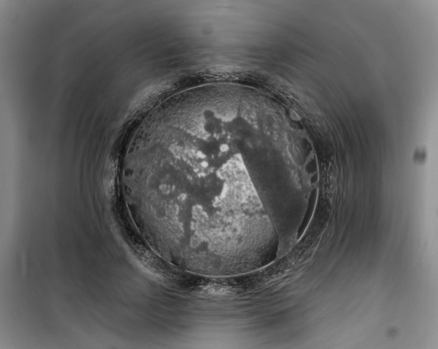 X0000100200742200805301309