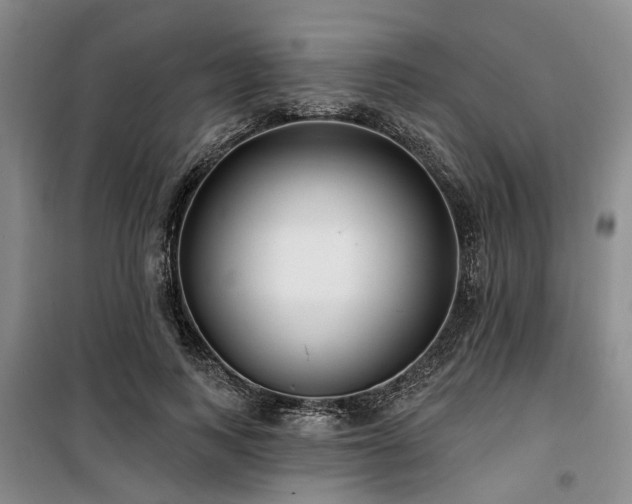 X0000100200743200805301309