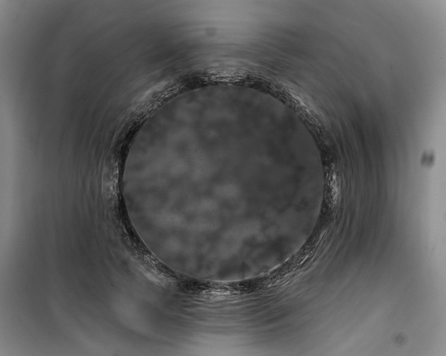 X0000100200745200805301309