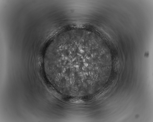 X0000100200747200805301309