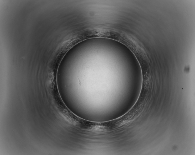 X0000100200748200805301309