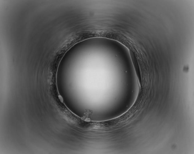 X0000100200750200805301310