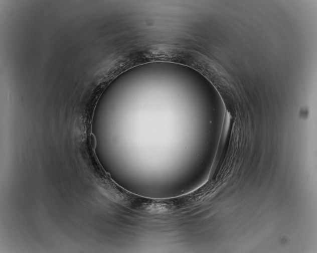 X0000100200751200805301310