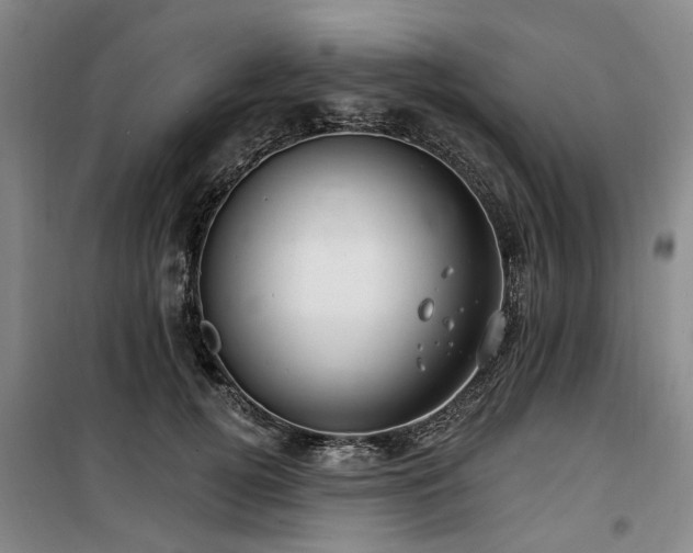 X0000100200752200805301310