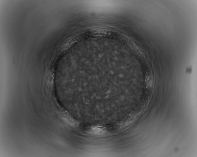 X0000100200753200805301310