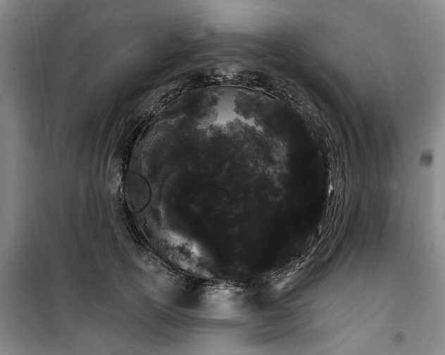 X0000100200754200805301310