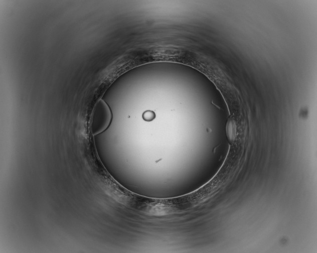 X0000100200755200805301310