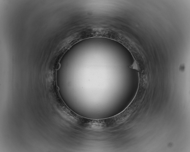 X0000100200756200805301310