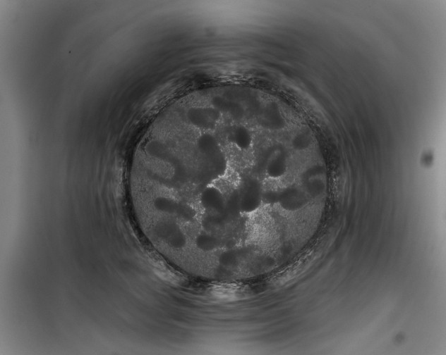 X0000100200757200805301310