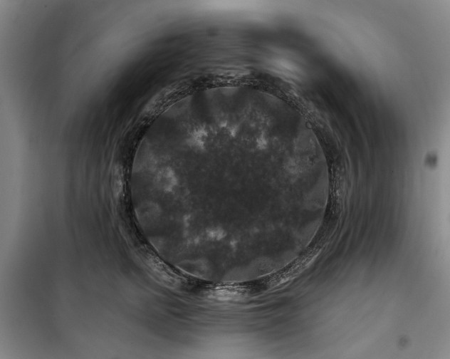 X0000100200758200805301310