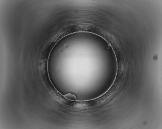 X0000100200759200805301310