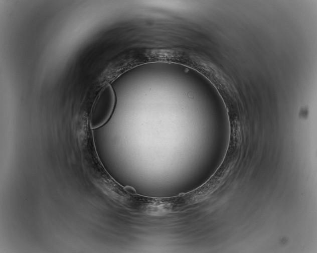 X0000100200760200805301310