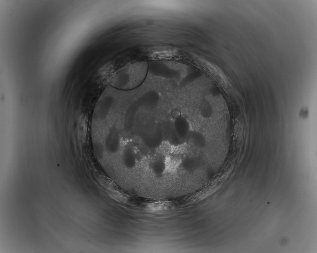 X0000100200761200805301310