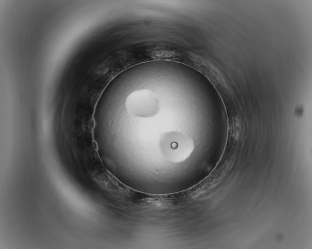 X0000100200763200805301310