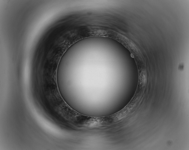 X0000100200764200805301310