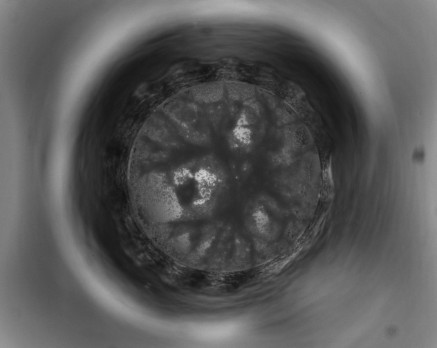 X0000100200765200805301310