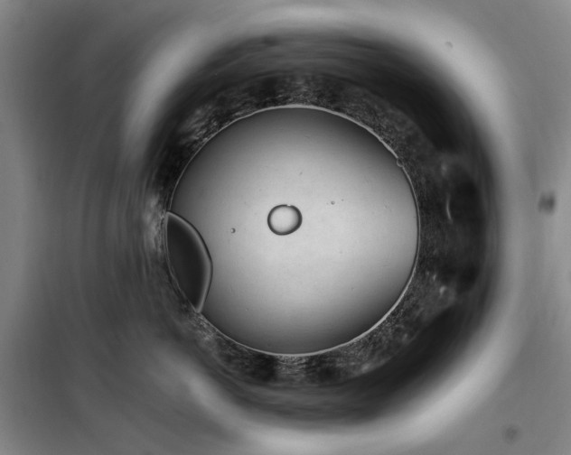 X0000100200766200805301310