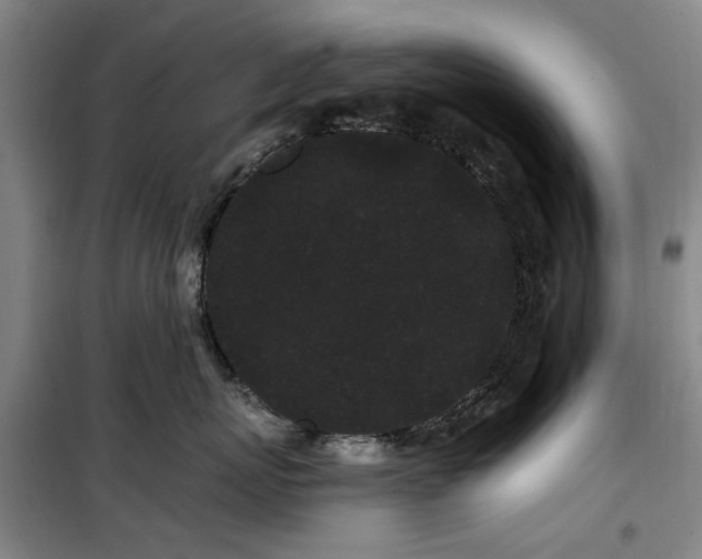 X0000100200767200805301310