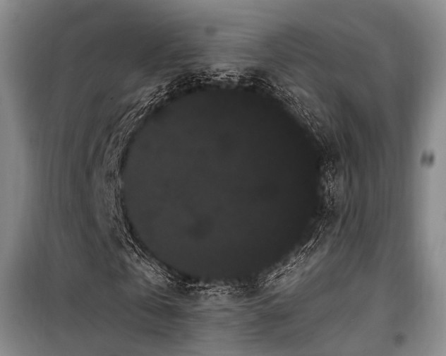 X0000100200769200805301309