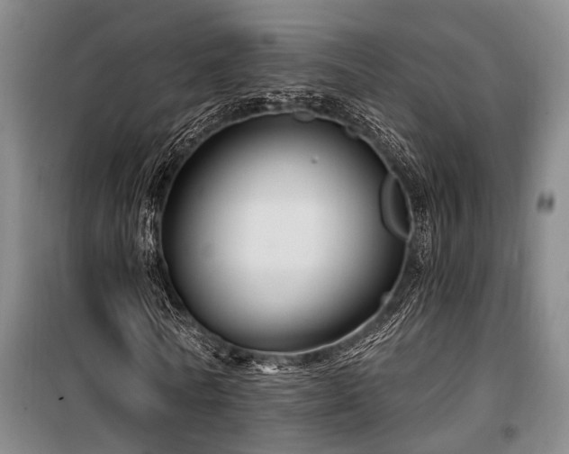 X0000100200770200805301309