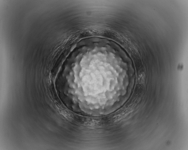 X0000100200772200805301309